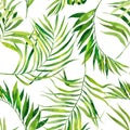 Tropical seamless pattern with exotic palm leaves. Tropical jungle foliage illustration. Exotic plants. Summer beach design. Parad