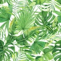 Tropical seamless pattern with exotic palm leaves. Tropical jungle foliage illustration. Exotic plants. Summer beach design. Parad