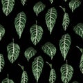 Tropical seamless pattern with exotic trees leaves.