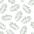 Tropical seamless pattern with fern, palma leaves, green color branches on white background. Floral vector summer Royalty Free Stock Photo