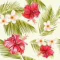 Tropical seamless pattern Royalty Free Stock Photo