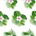 Tropical Seamless Pattern of Hibiscus Flowers and Palm Branches Royalty Free Stock Photo