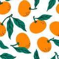 Tropical seamless pattern with mandarine and leaves. Hand drawn orange tangerine pattern on white background. for fabric, drawing