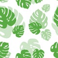 Tropical seamless pattern from monstera leaves. Stylish green summer texture. Spring jungle print from tropics