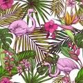 Tropical seamless pattern. Pink flamingo, exotic flowers and palm leaves on white background. Vector sketch illustration Royalty Free Stock Photo