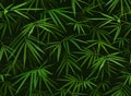 Tropical seamless pattern with realistic bamboo leaves