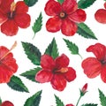 Tropical seamless pattern with red hibiscus flowers and leaves. Watercolor illustration. Royalty Free Stock Photo