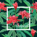 Tropical seamless pattern with red torch ginger flowers and leaves on dark background.