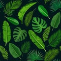 Tropical seamless pattern Royalty Free Stock Photo