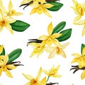 Tropical seamless pattern. Vanilla flowers. floral summer Royalty Free Stock Photo