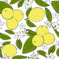 Tropical seamless pattern with yellow lemons. Summer print with fresh citrus fruits, leaves and flowers in a hand-drawn style. Royalty Free Stock Photo