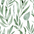 Tropical seamless patterns. Wild plants, abstract leaves watercolor sketch