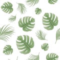 Tropical seamless Royalty Free Stock Photo