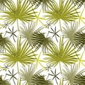 Tropical seamless vector background, with palm leaves, parrots, jungle leaves. Vector flat cartoon illustration for fabric design,