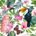 Tropical seamless vintage pattern, palm leaves, orchid flowers and birds. Exotic jungle wallpaper. hand drawn botanical Royalty Free Stock Photo