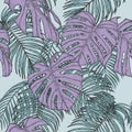 Tropical seamless for wallpaper. Royalty Free Stock Photo