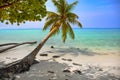 Tropical seascape with green palm tree leaves, ocean view with vawes and palm branches Royalty Free Stock Photo