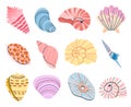 Tropical seashell. Cartoon clam, oyster and scallop shells