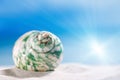 Tropical seashell sea shell with ocean , beach and seascape