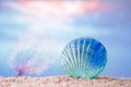 Tropical seashell sea shell on sand with ocean Royalty Free Stock Photo