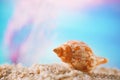 Tropical seashell sea shell on sand with ocean Royalty Free Stock Photo