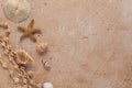 tropical seashore corner border background with shells Royalty Free Stock Photo