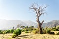 Tropical seaside landscape near Cirali village in BeydaglarÃÂ± National Park in Turkey