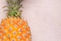 Tropical and Seasonal Summer Fruits. closeup pineapple with blank space backgrounds, Healthy Lifestyle. Flat Lay Royalty Free Stock Photo