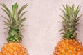 Tropical and Seasonal Summer Fruits. Pineapple Arranged with blank space in the middle of backgrounds, Healthy Lifestyle.Flat Lay Royalty Free Stock Photo