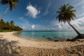 Tropical Serenity: Palms and Ocean Bliss