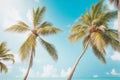 Tropical Serenity: Vintage Palm Trees and Blue Sky View from Below.