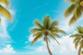 Tropical Serenity: Vintage Palm Trees and Blue Sky View from Below.