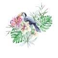 Tropical set with birds leaves and flowers. Peony. Tucan. Monstera. Orchid. Watercolor illustration.