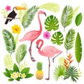 Tropical set. Palm leaves, tropical plants, flowers, pineapple, flamingo, toucan.