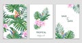 Tropical set of pattern, frame, bouquet on white background