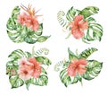 Tropical set watercolor flowers and leaves. Exotic bouquet isolated on white background. Royalty Free Stock Photo
