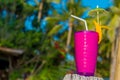 Tropical shake, refreshment drink in glass on tropical Royalty Free Stock Photo