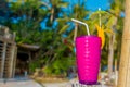 Tropical shake, refreshment drink in glass on tropical Royalty Free Stock Photo