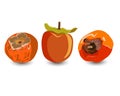 Tropical sharon fruit isolated on white background vector illustration Royalty Free Stock Photo