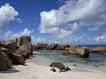 Tropical shore And Maron at Ladigue Seychelles