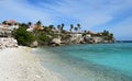 Tropical shoreline in the Caribbean sea