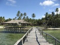 Tropical siargao island wooden promenade