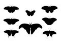 Tropical silhouette butterflies set