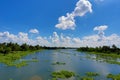 Tropical sky and river with floating water hyacinth. Royalty Free Stock Photo