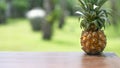 Tropical small pineapple on a wooden table