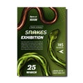 Tropical Snakes Exhibition Advertise Banner Vector