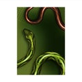 Tropical Snakes Exhibition Advertise Banner Vector Illustration