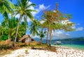 Tropical solitude Royalty Free Stock Photo