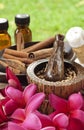 Tropical spa and aromatherapy Royalty Free Stock Photo