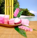 Tropical spa Royalty Free Stock Photo